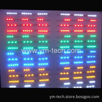Waterpoof LED Module SMD 3528 and 5050